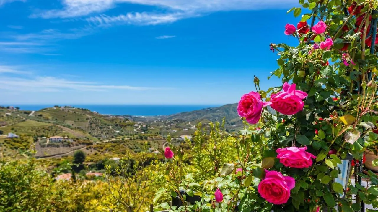 Cortijo Los Naranjos Frigiliana By Ruralidays Holiday home